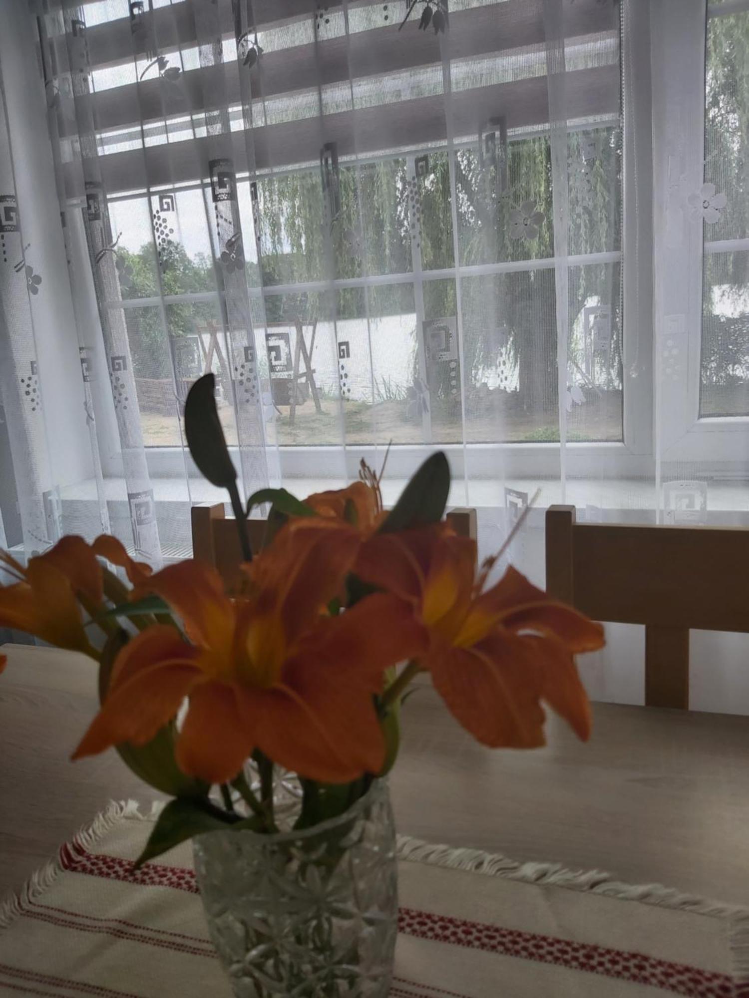 Agroturystyka "Jezioranka" Unichowo Kültér fotó